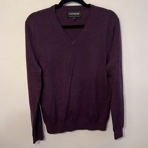 Express v-neck sweater